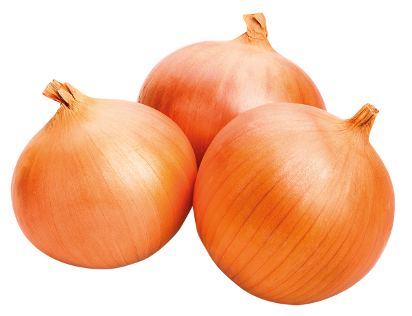 Изображение Корнеплод Краснодарский край лук репчатый  вес 