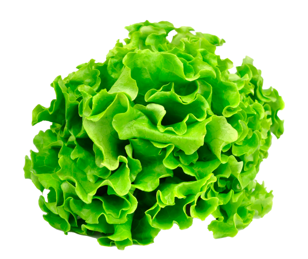 Изображение Салат свежий листовой Вита пучок, 1 шт