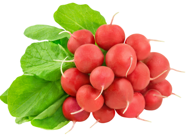 Изображение Корнеплод местный редис  пучок, 1 шт