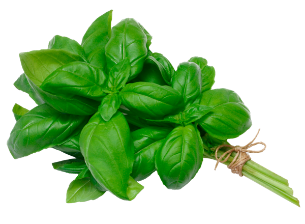 Изображение Зелень свежая базилик зеленый Кубанские поля лоток, 1 шт