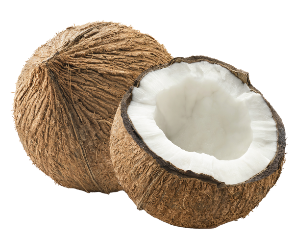 Изображение Плод  кокос  шт, 1 шт