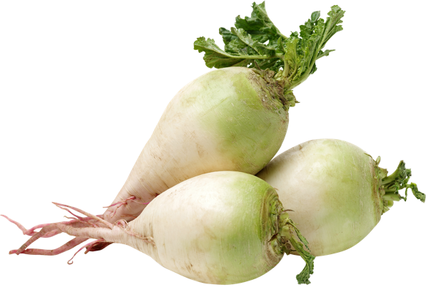 Изображение Корнеплод арбузная редька  вес 