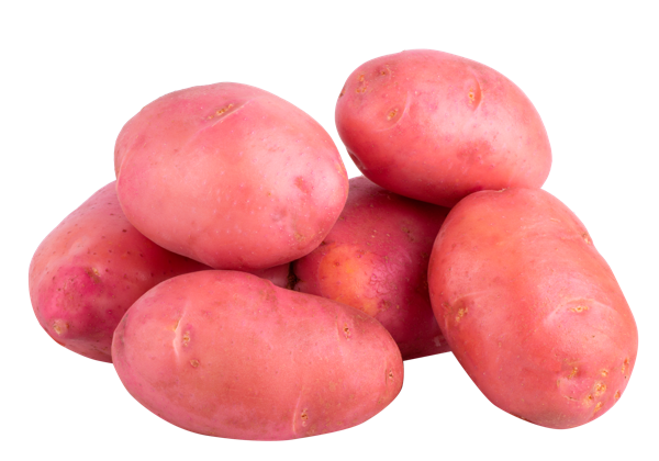 Изображение Корнеплод местный картофель красный Игнина Д.Р. вес 