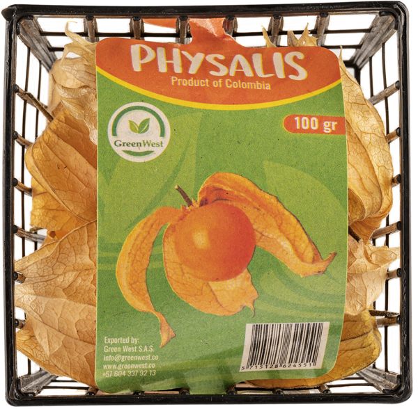 Изображение Плод  физалис  лоток, 1 шт