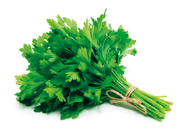 Изображение Зелень свежая петрушка Вита пучок, 1 шт