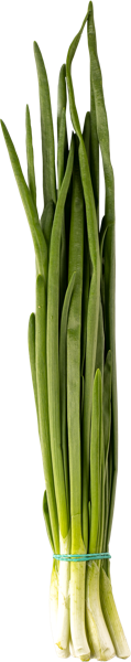 Изображение Зелень свежая лук Вита пучок, 1 шт