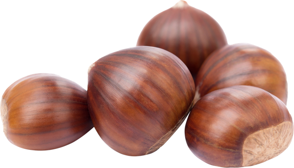Изображение Орехи Каштан  вес 