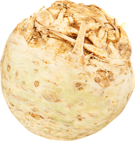 Изображение Корнеплод Сельдерей краснодарский край  