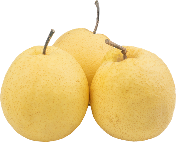 Изображение Фрукты Груша сорт Китайская  вес 