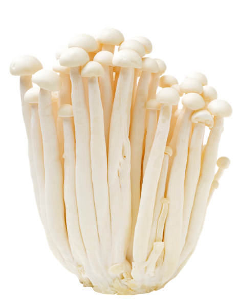 Изображение Грибы свежие Артфрут еноки  п/у, 100 г