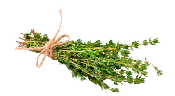 Изображение Зелень свежая тимьян Кубанские поля п/у, 40 г