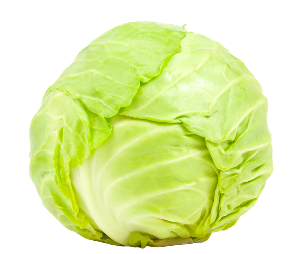 Изображение Овощ Краснодарский край капуста молодая  вес 