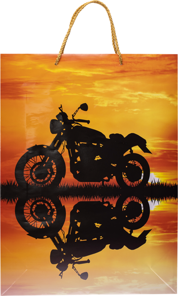 Изображение Пакет 33*45см ламинированный Асса в ассортименте Асса , 1 шт