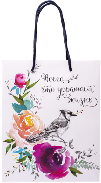 Изображение Пакет 18*23см ламинированный Асса в ассортименте Асса , 1 шт