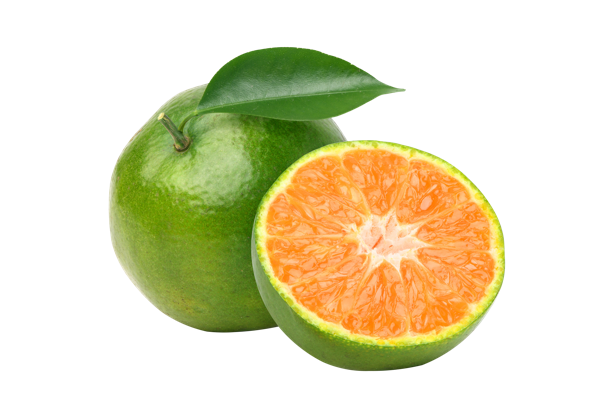 Изображение Фрукт  мандарин зеленый  вес 