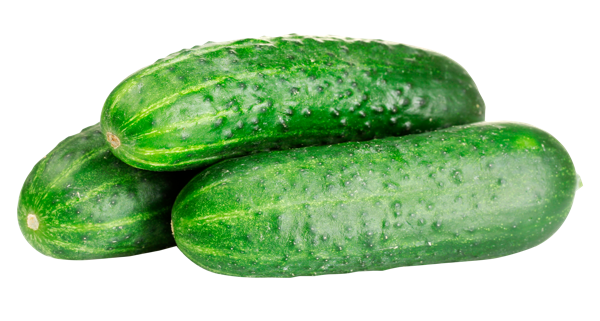 Изображение Овощ короткоплодный местный огурец герман  вес 