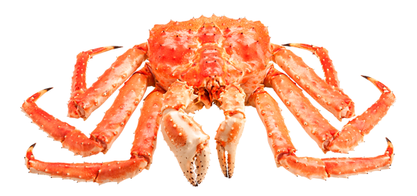 Изображение Морепродукты живые краб камчатский Фетисов вес 