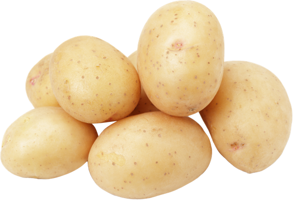 Изображение Корнеплод Краснодарский край картофель белый Игнина Д.Р. сетка 