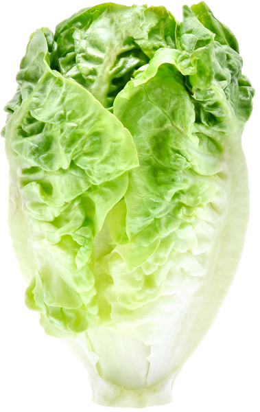 Изображение Салат свежий романо , 1 шт