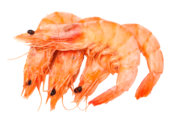 Изображение Морепродукты В/М 50/70 Агама креветки королевские xxl  вес 