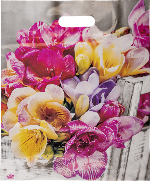 Изображение Пакет Прорезь 47*38см Тикопластик , 1 шт