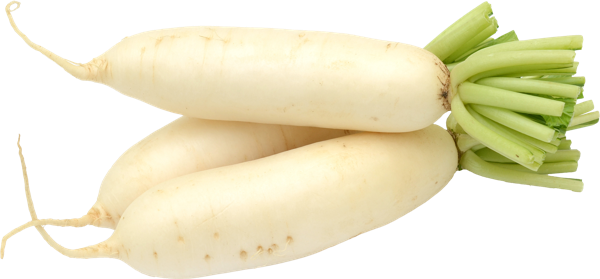 Изображение Корнеплод  редька белая  вес 