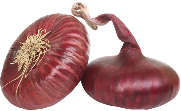 Изображение Корнеплод плоский ялтинский лук красный Игнина Д.Р. вес 