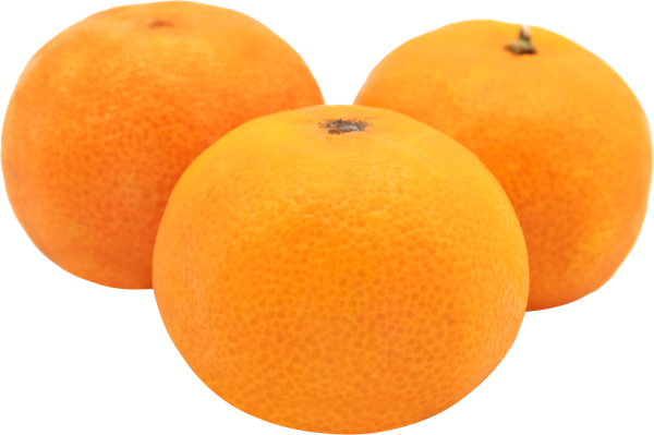 Изображение Фрукт сорт Фримонт мандарин  вес 