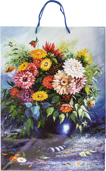 Изображение Пакет 40*55см ламинированный Асса в ассортименте Асса , 1 шт