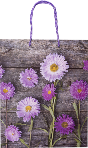 Изображение Пакет 32,7*26,4см ламинированный Асса в ассортименте Асса , 1 шт