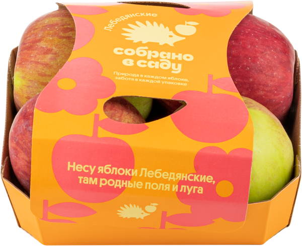 Изображение Фрукт Лебедянское Собрано в саду яблоко Агроном сад подложка, 4 шт