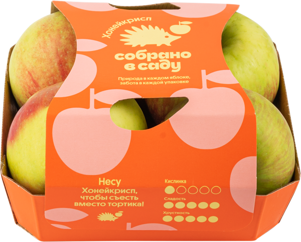 Изображение Фрукт Хонейкрисп Собрано в саду яблоко Агроном сад подложка, 4 шт