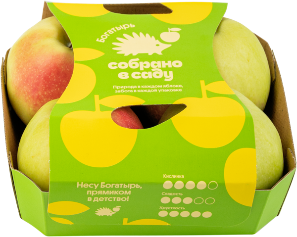 Изображение Фрукт Богатырь Собрано в саду яблоко Агроном сад подложка, 4 шт