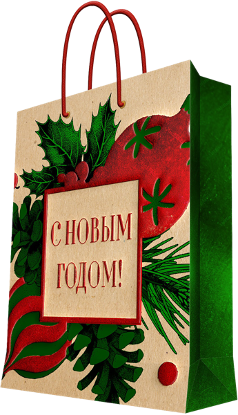 Изображение Пакет 18*23см бумажный Мэджик Пак с новым годом голография Феникс-Презент , 1 шт