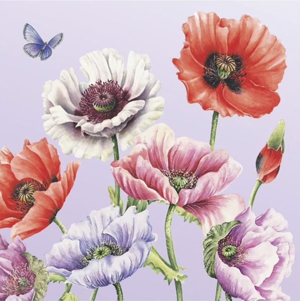 Изображение Салфетки 3х слойные Арт букет поле маков 33*33 Русская Бумага м/у, 20 шт