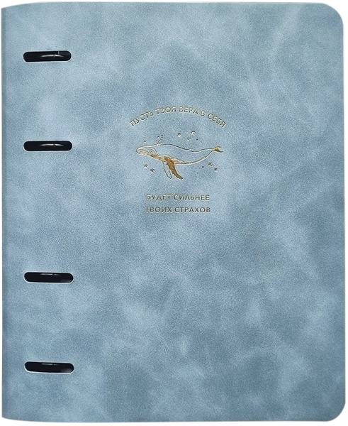 Изображение Тетрадь 120л клетка Инфолио Стади фотс синяя на кольцах БелКанБи , 1 шт