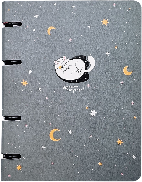 Изображение Тетрадь 120л клетка Би Смарт мур-мур серая на кольцах БелКанБи , 1 шт