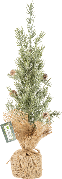 Изображение Елочка 50см настольная Табрис создавай атмосферу ледяная в джуте Кристмас Квин , 1 шт