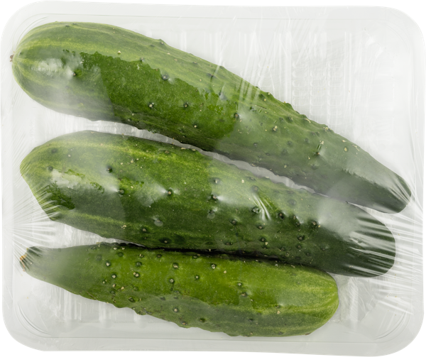 Изображение Овощ сорт эстафета Огурец среднеплодный Кубанские поля подложка, 3 шт