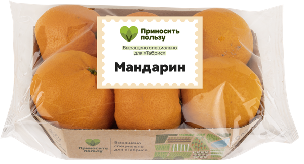 Изображение Фрукт Абхазия Табрис мандарин Кубанские поля подложка, 6 шт