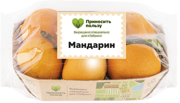 Изображение Фрукт новый урожай Табрис мандарин Кубанские поля подложка, 6 шт