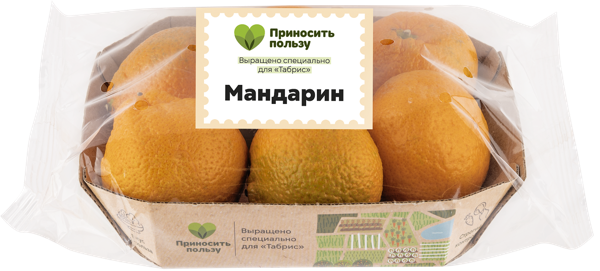Изображение Фрукт Турция Табрис мандарин Кубанские поля подложка, 6 шт
