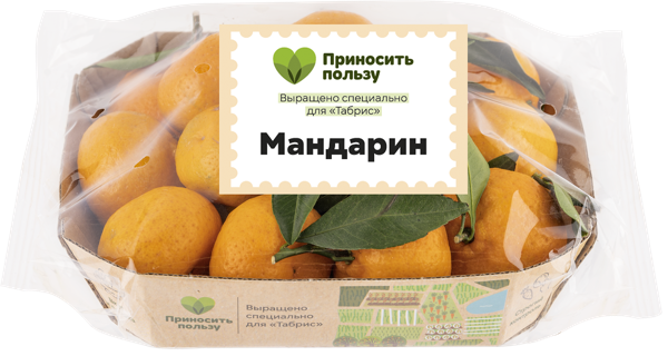 Изображение Фрукт мини Табрис мандарин Кубанские поля подложка, 600 г
