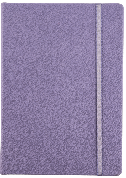 Изображение Записная книжка 192л Инфолио А5 лайфстайл лиловый Шэньчжэнь Сити Фронт , 1 шт