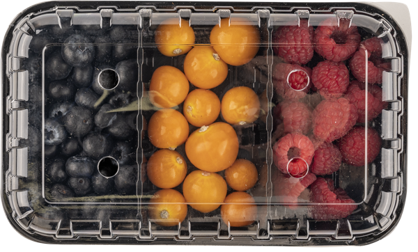 Изображение Ягода микс голубика малина физалис  лоток, 150 г