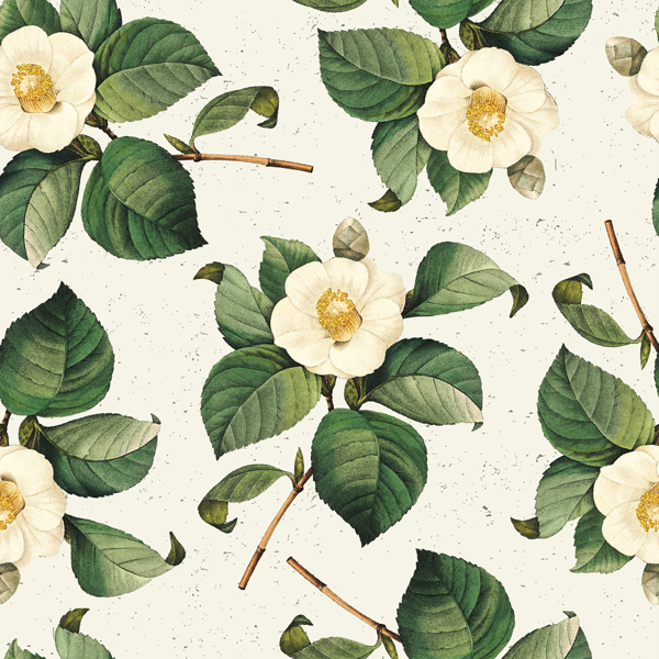 Изображение Бумага 70*100см упаковочная Би Смарт флора камелия Созидание м/у, 1 шт