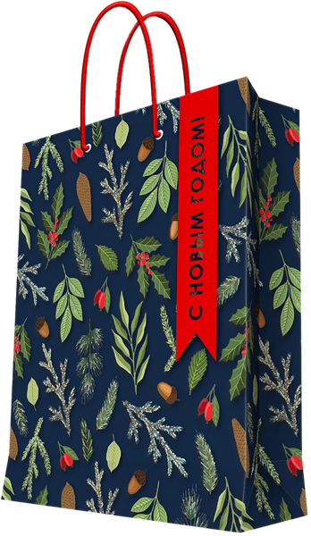 Изображение Пакет 26*32см бумажный Мэджик Пак желуди ветки синий Феникс-Презент , 1 шт