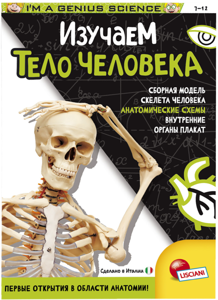 Изображение Игра настольная Лишани изучаем тело человека Лишани к/у, 1 шт