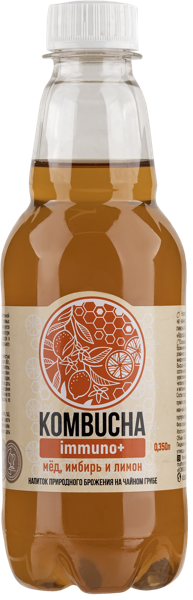 Изображение Напиток газ Абсолют Нэйчер Комбуча Имбирь мед лимон Живые соки п/б, 0,35 л