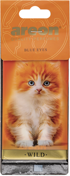 Изображение Ароматизатор для авто Ареон уайлд нью микс Балев корпорейшн м/у, 1 шт